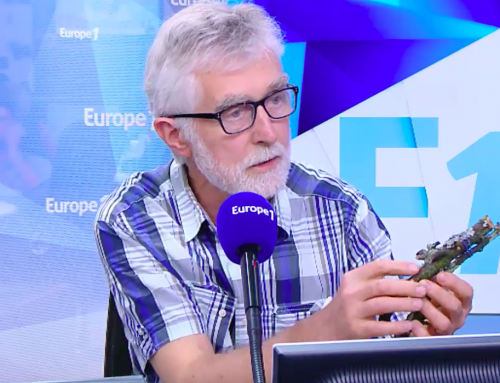 EUROPE 1 – sensibiliser au développement durable par le jeu